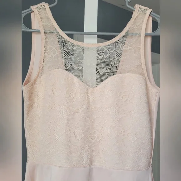 Blush Pink Lace Fit & Flare Skater Dress - Picture 4 of 6